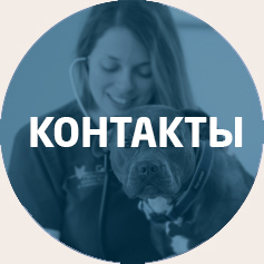КОНТАКТЫ
