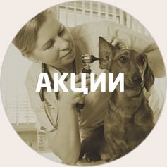 акции