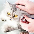 Мы работаем круглосуточно 7 дней в неделю