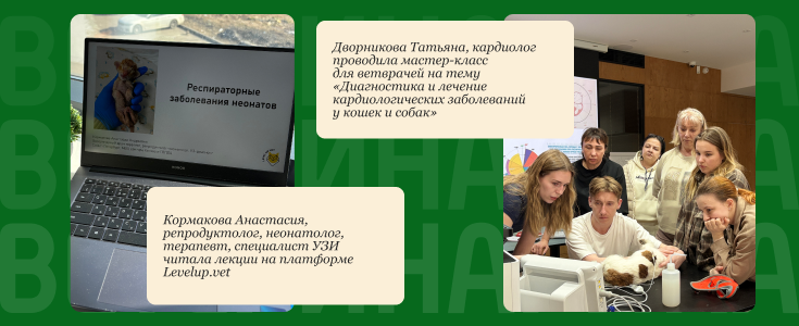 Команда Ветеринарики